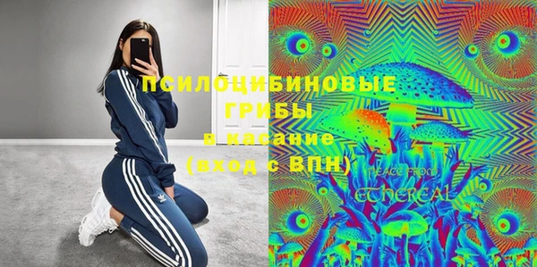 гашик Алексин
