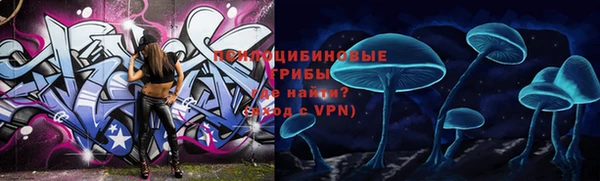 гашик Алексин