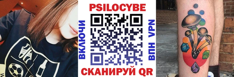 Псилоцибиновые грибы Psilocybine cubensis  мега сайт  Александровск  купить закладку 